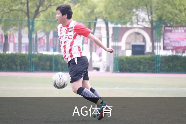 AG体育公司介绍